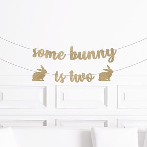 Some Bunny is Two Second Birthday Decorations, Bunny Themed 2nd ...