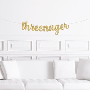 Threenager Banner, Funny 3rd Birthday Decorations, Sassy Third Birthday Decor, Three Nager