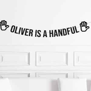 Custom Handful Birthday Banner, 5th Birthday Party Theme Boy Decorations, High-5 Birthday Decor, Fifth Party Supplies, Hand