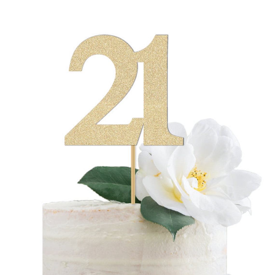 She's 21 Bitches Banner – Glitzer-Banner Für Die 21. Geburtstagsparty (DIY)