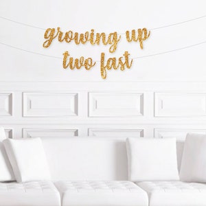Growing Up Two Fast Banner, Garden Party 2nd Birthday Decorations, Girl's 2nd Birthday Decor
