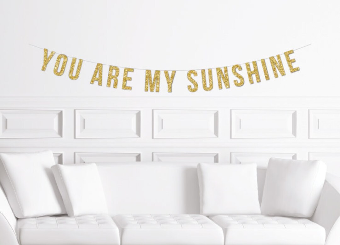 You Are My Sunshine Party Banner Sun Themed 1st Birthday Etsy