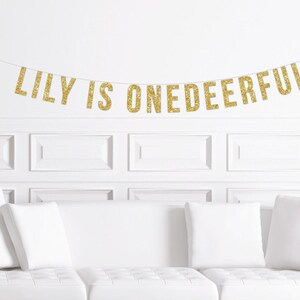 Custom is ONEdeerful Sign, Deer Themed First Birthday Banner, for a 1st Birthday Girl Girl's Boy Boy's