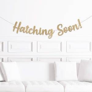 Hatching Soon Baby Shower, Dinosaur Baby Shower Sign, Baby Dino Decor, Spring Baby Shower Backdrop, Easter Chick Ideas Theme Announcement