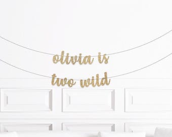 Two Wild Party Decorations Custom Two Wild Banner, 2nd Birthday Party Decoration, Jungle Safari Woodland Theme Second Birthday Girl Boy