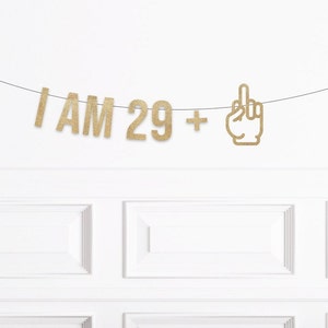 I am 29 Plus Middle Finger Birthday Banner, Funny Middle Finger 30th Birthday Decorations, Man Woman Thirtieth Birthday Decor, I'm