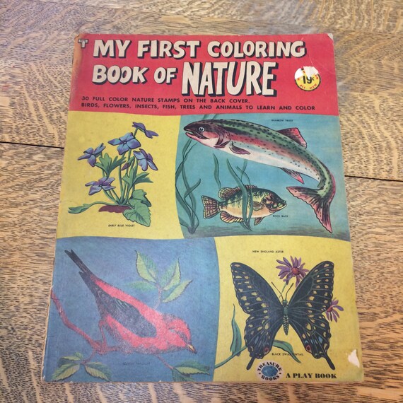 My First Coloring Book of Nature Treasure Books VTG 1953 USA Etsy Canada