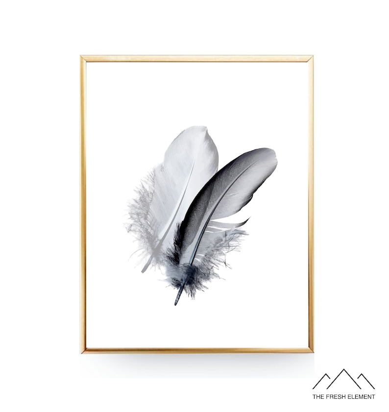 Feather PRINTABLE Wall Artwork Print Bed room Printable Feather Artwork Print Feather Wall Artwork Feather Poster Feathers Print Black Feather Print Artwork photograph relating to Printable Feathers named Feather PRINTABLE Wall Artwork Print Bed room Printable Feather Artwork Print Feather Wall Artwork Feather Poster Feathers Print Black Feather Print Artwork