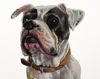 Hand Painted Pet Portrait | Custom | From your own photo! | Dog, Cat, Rabbit, Reptile, any breed | Pet Memorial | Birthday Gift