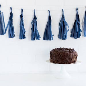 Navy Blue Tassel Banner / Tassel Banner / Tissue Banner / Party Decor / Banner / Photo Prop