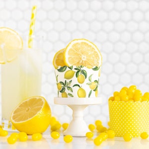 Yellow Lemon Treat Cups / Yellow and White Treat Cups / Treat Cups / Baking Cups / Yellow and White / Striped Treat Cups