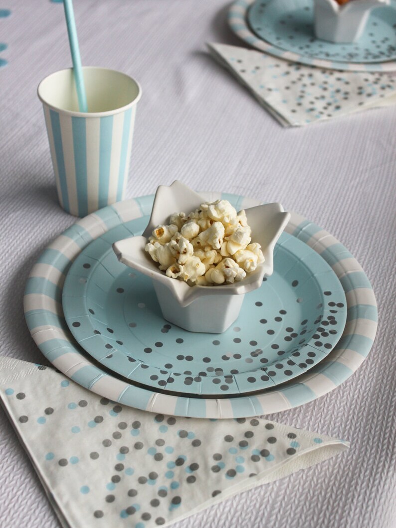 Light Blue Dinner Plates Blue Party Plates Blue Paper Plates Light Blue Striped Party Plates Baby Boy Shower Plates Gender Reveal