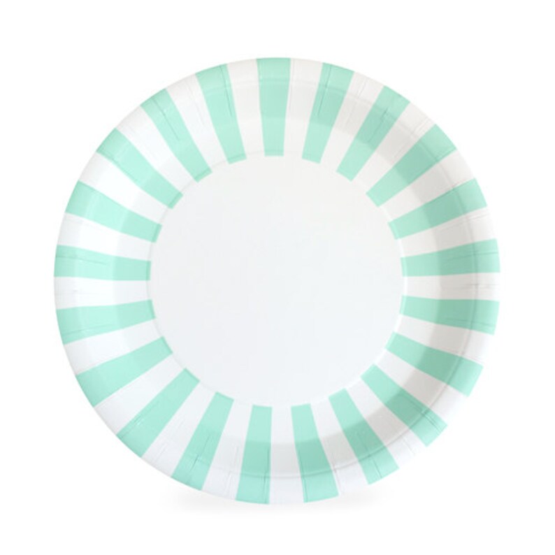 Mint Green Dinner Plates / Mint Tableware / Mint Striped Party Etsy