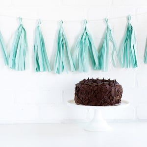 Light Blue Tassel Banner / Tassel Banner / Tissue Banner / Party Decor / Banner / Photo Prop