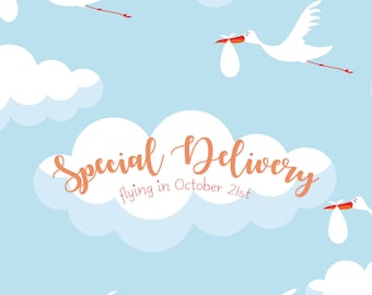 Special Delivery Photo Backdrop / Baby Shower Banner / Decor (KID-SR-001)