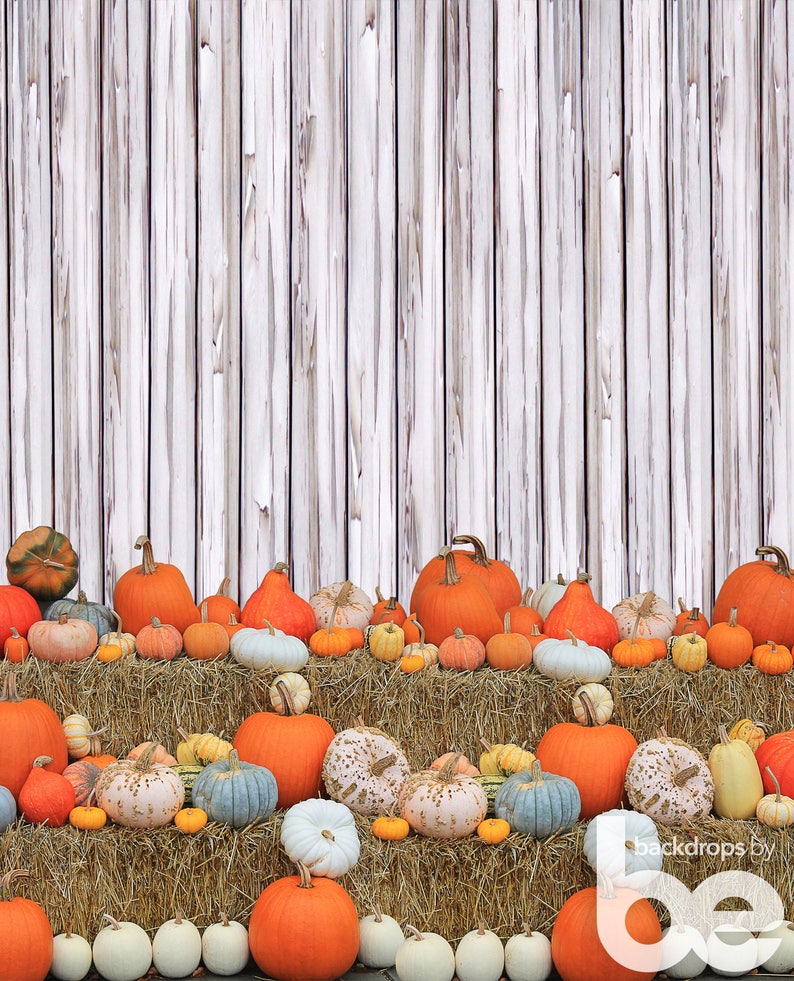 halloween party backdrops