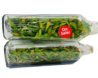 May include: Two clear glass bottles filled with green leafy plants. The top bottle has a red sticker that says "On Sale!"