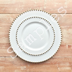 NEW! SAMPLES: Pearl Collection. White and Clear with Silver or Gold  Disposable Wedding Dinnerware Sets.  One Place Setting.