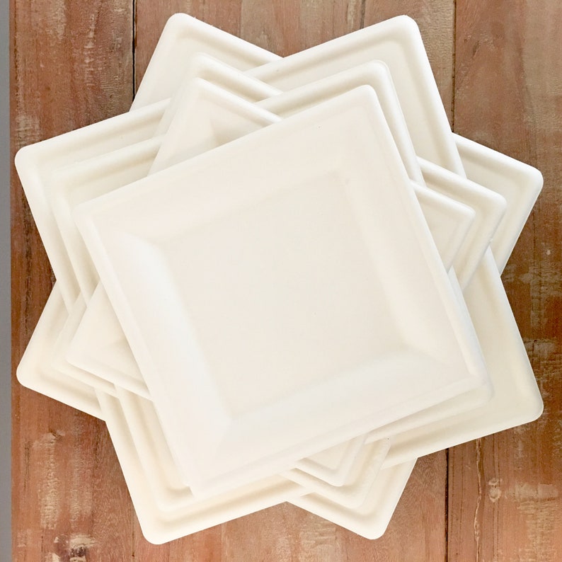 20 Upscale Disposable Plates for Wedding. Elegant Square Etsy