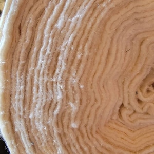 May include: Close-up of a roll of natural cotton batting. The cotton is tightly wound and has a soft, fluffy texture.