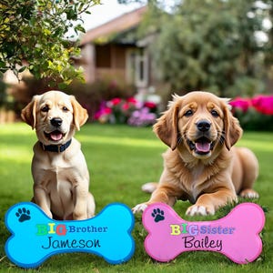 May include: Two golden retriever puppies sitting in front of bone-shaped signs that say "BIG Brother Jameson" and "BIG Sister Bailey".
