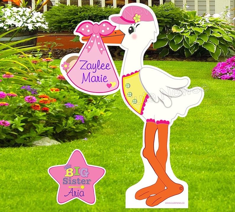 May include: Pink and white stork holding a pink and white baby bundle with the text "Zaylee Marie". A pink star with the text "Big Sister Aria" is in the foreground.