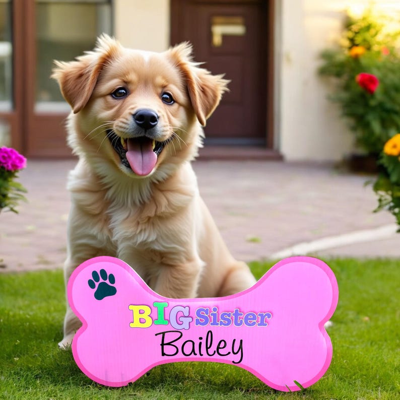 May include: A golden dog sits in front of a pink bone-shaped sign that reads "BIG Sister Bailey".