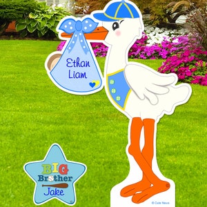 May include: A blue and white stork holding a baby in a blue and white bassinet. The bassinet has the names "Ethan Liam" written on it. A blue star with the text "BIG BROTHER Jake" is in the foreground.