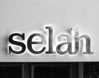 Custom Backlit Sign, Silver Brushed Stainless Steel, 3D Raised Design