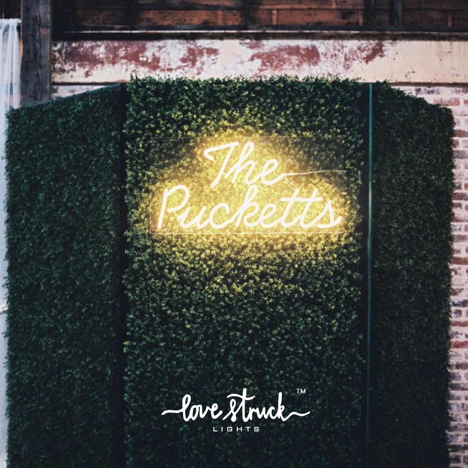 Neon lights Grass wall backdrop Grass backdrop Neon sign Love Etsy