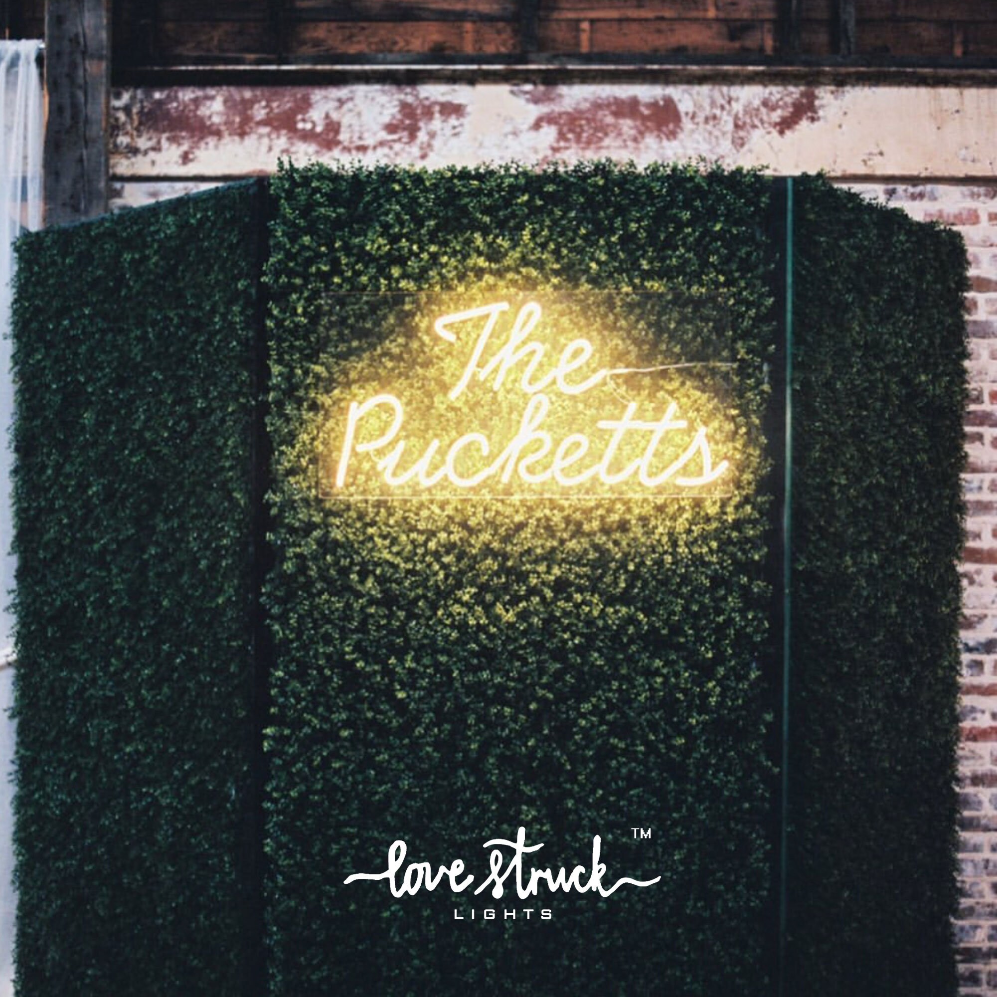 Neon lights Grass wall backdrop Grass backdrop Neon sign Love Etsy