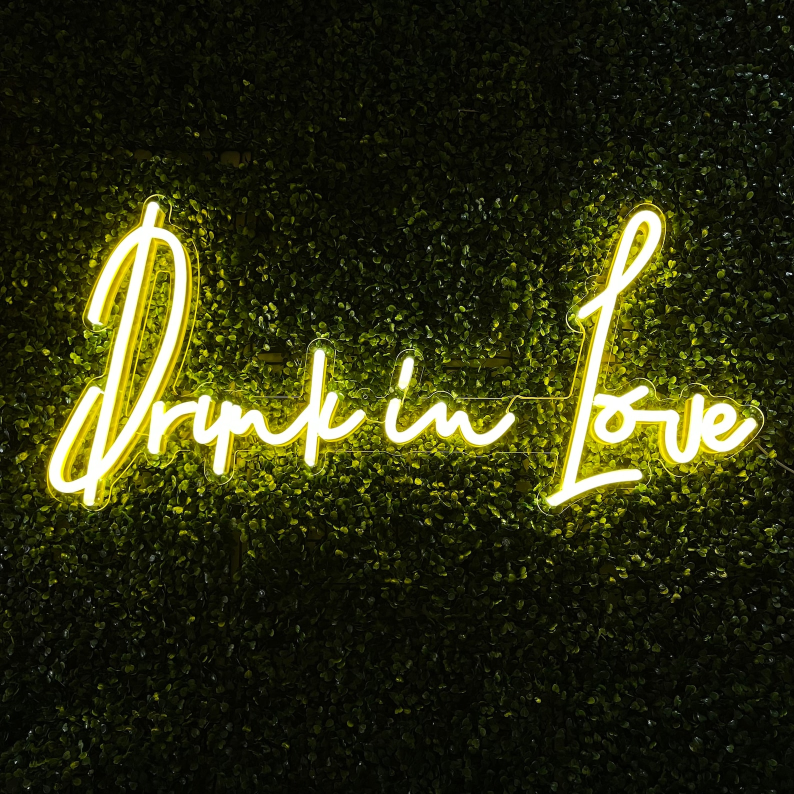 Drunk in Love Neon Sign Neon Sign Neon Lights Custom Neon - Etsy