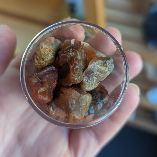 Mystery container Banded Lake Superior Agate Minis