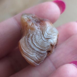 Gorgeous Banded Top Shelf Lake Superior Agate .4oz