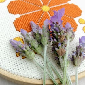 Flower Cross Stitch Pattern Cross Stitch Instant Download Etsy