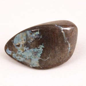 Esemplare di opale australiano lucidato - Pietra minerale naturale da esposizione per collezionisti e appassionati di geologia