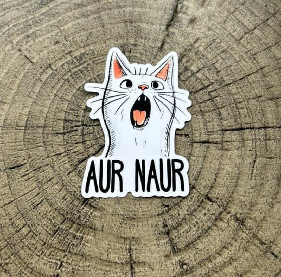 Aur Naur Cat Vinyl Sticker - Etsy