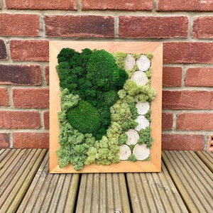 Moss Decor / Home Decor / Moss Wall Decor / Reindeer Moss / Frame Art / Frame Decor / Room Decor / Indoor / Wooden Decor / Living Art