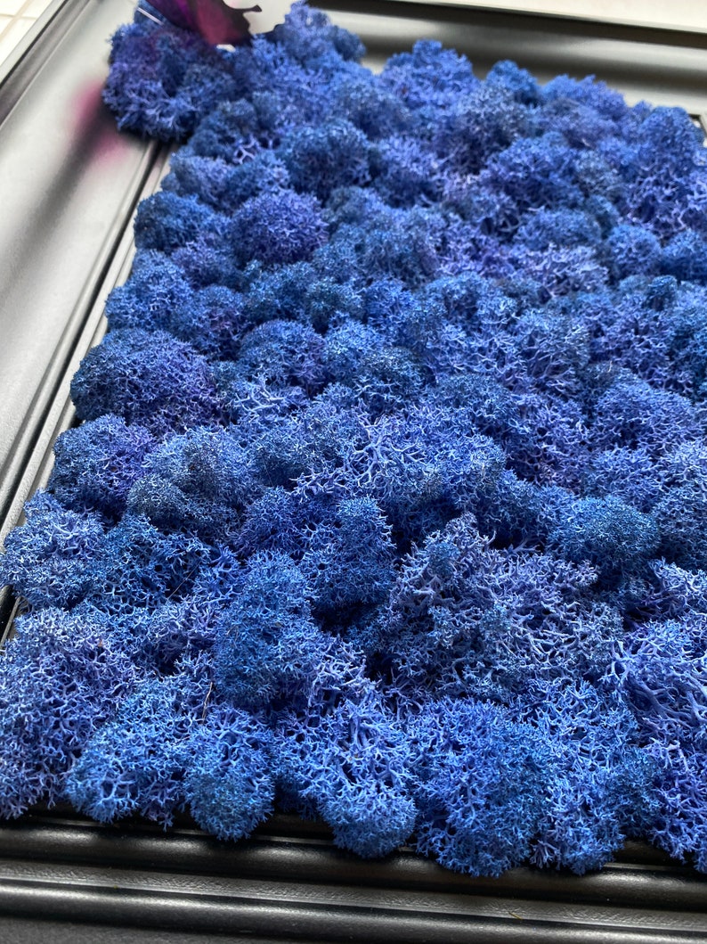 Blue Moss Wall Art Moss Wall Decor Living Wall Art Home Etsy UK