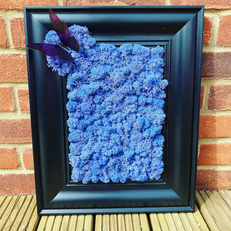 Blue Moss Wall Art Moss Wall Decor Living Wall Art Home Etsy UK
