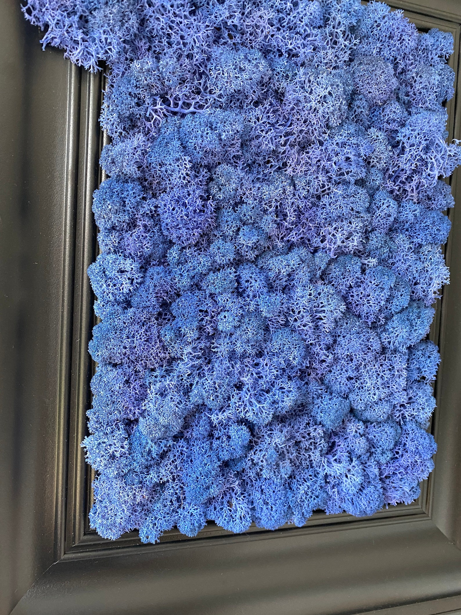 Blue Moss Wall Art Moss Wall Decor Living Wall Art Home Etsy UK