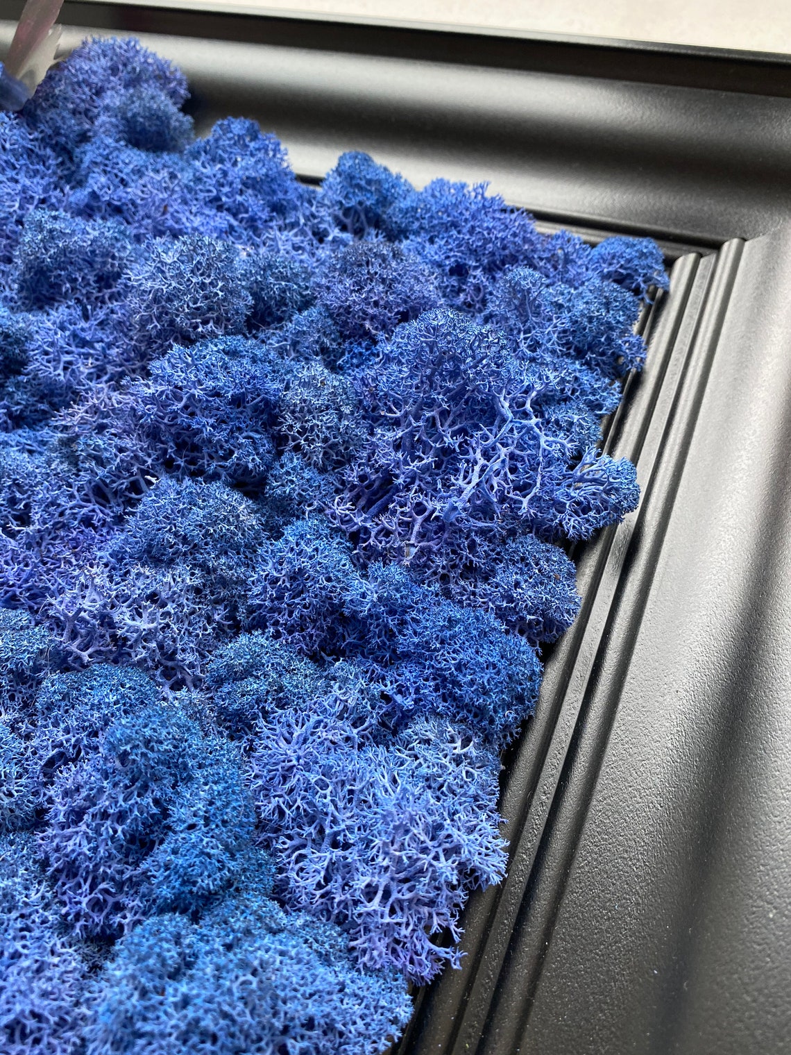 Blue Moss Wall Art Moss Wall Decor Living Wall Art Home Etsy UK