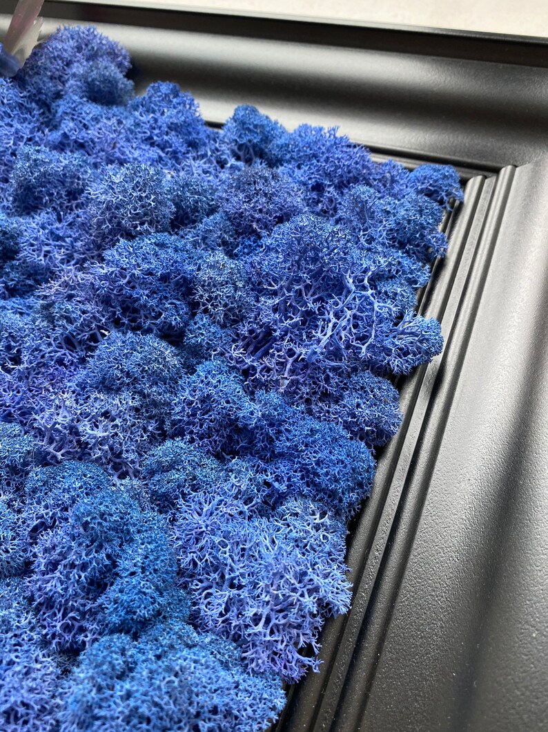 Blue Moss Wall Art Moss Wall Decor Living Wall Art Home Etsy UK