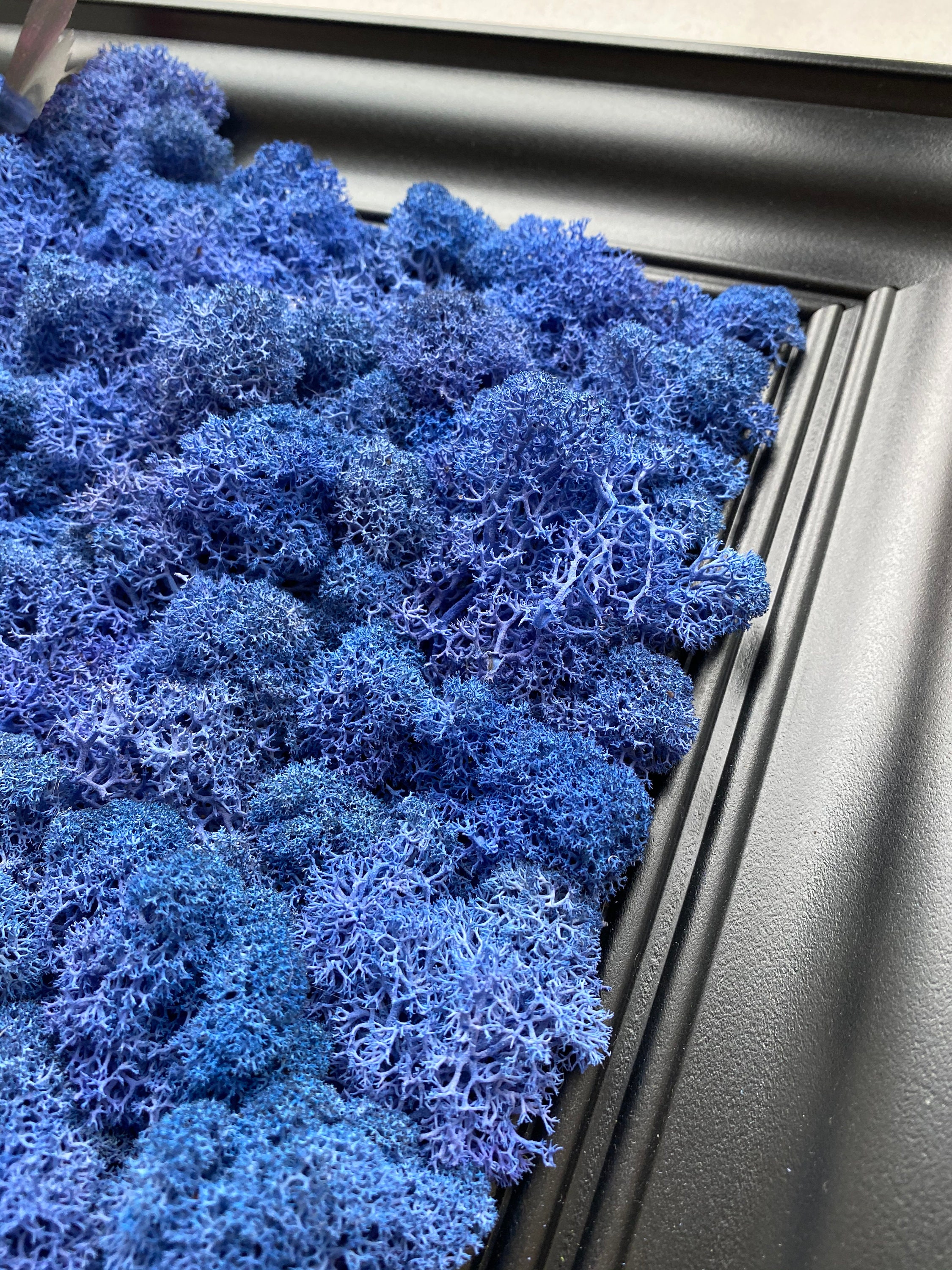 Blue Moss Wall Art Moss Wall Decor Living Wall Art Home Etsy UK