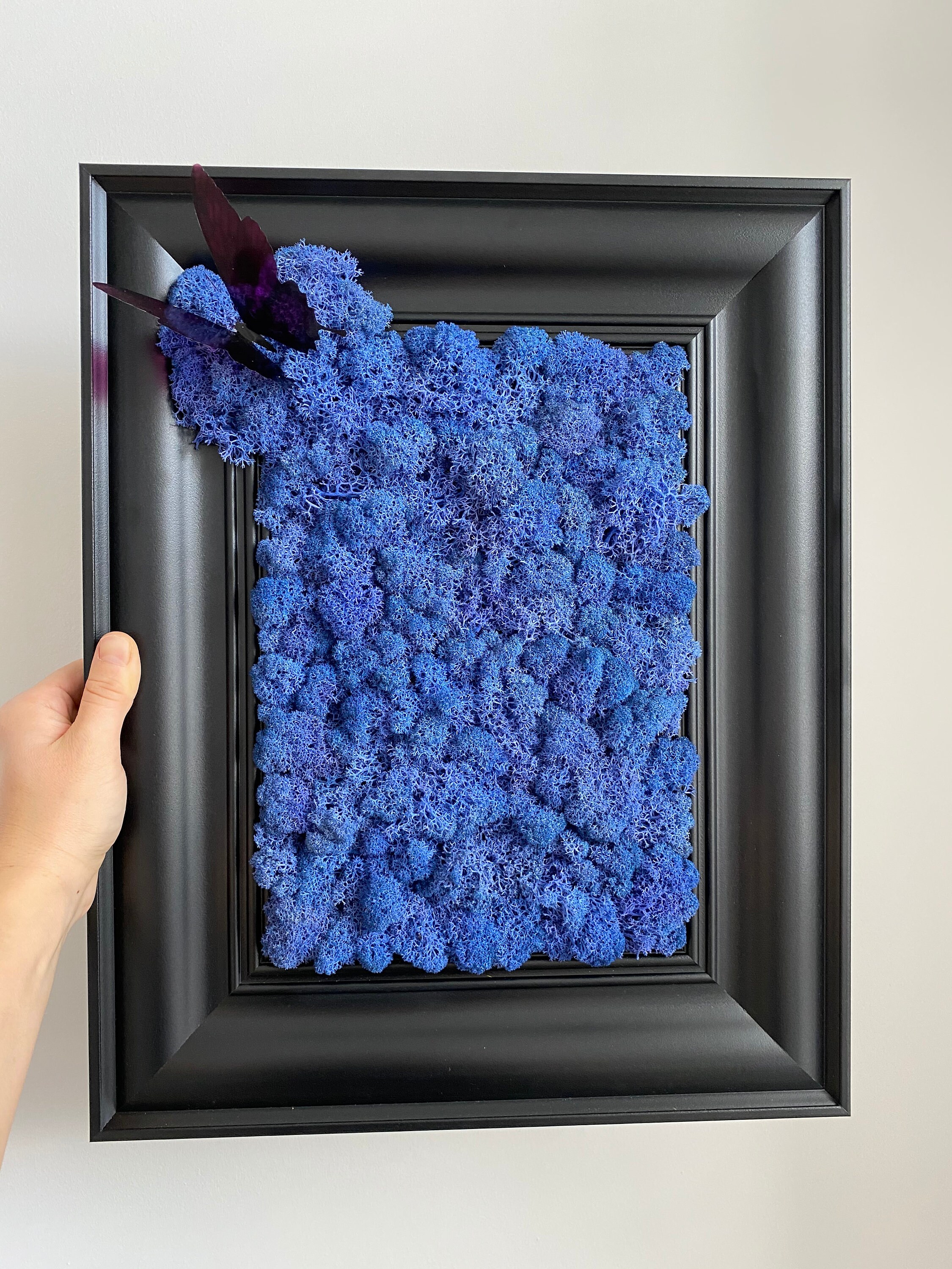 Blue Moss Wall Art Moss Wall Decor Living Wall Art Home Etsy UK