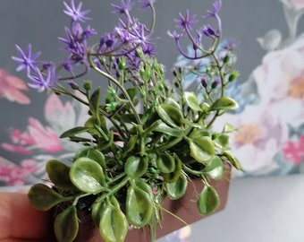 Miniature flowering plant in a wooden pot