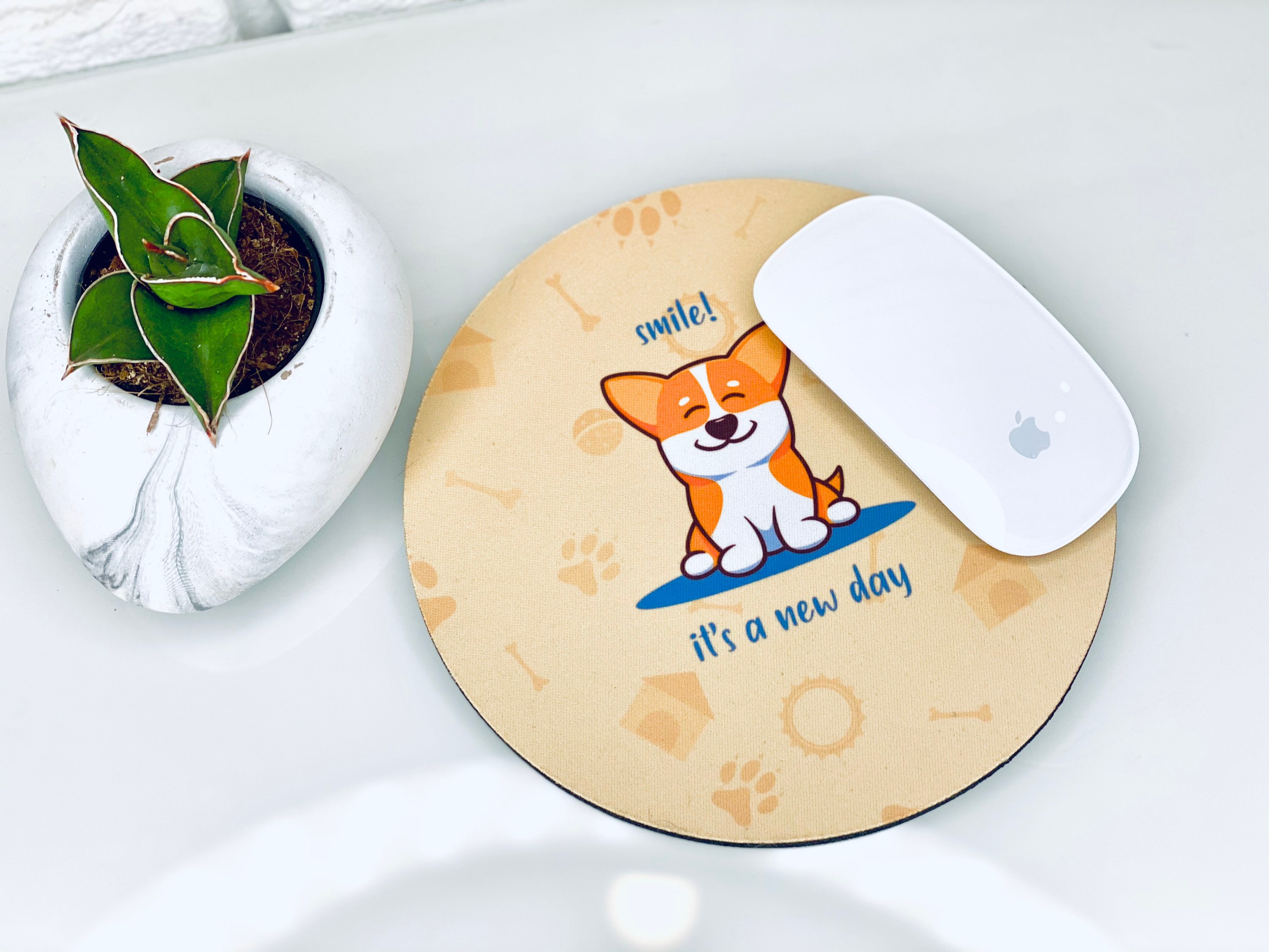 corgi desk accessories