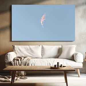 Starship super heavy rocket launch Boca Chica, Texas photo print. Space, flight, mars, launch, unique, gift, photography, orbit, stars