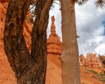 Descarga digital del parque nacional Bryce Canyon, imprima su foto digital, fotografía de viajes, impresión fotográfica, bellas artes de decoración del hogar, Hoodoo