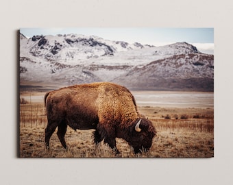 Antilopeneiland Utah bizonfotografie, antilopeneiland, reisfotografie, natuurfoto, foto in nordic stijl, dierenfotoafdruk, sneeuw
